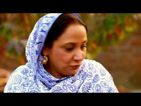Showreel