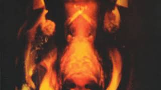 Flasket Brinner Full Album 1971.
