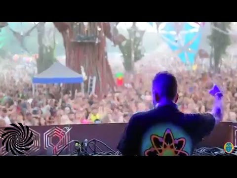 Lucas playing at Ozora Festival 2015 (main stage)