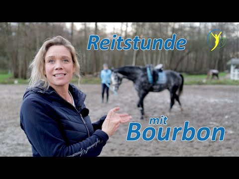 Reitstunde mit Bourbon - Pferd und Reiter zusammen wachsen lassen | Falco & Bourbon Folge 29