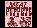 Meat Puppets - Fruit (home demo version)