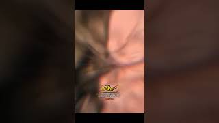 Download lagu Sedulur papat limo pancer || kejawen mp3