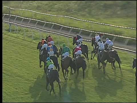 Galoppo 17/06/2016 - 6° corsa