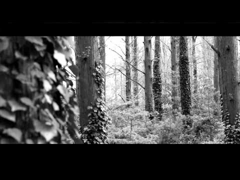Video thumbnail for Ignorant Rain at the End of the World