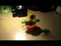 Solar Dancing Sunflower 