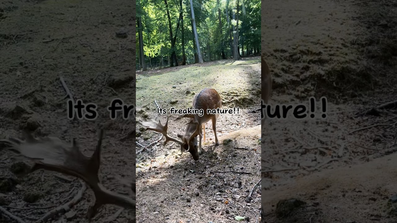 Hello Mr. Sir 👋🏼