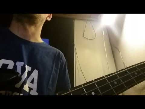 Best Youth & Moullinex - In the Shade (Bass Cover)