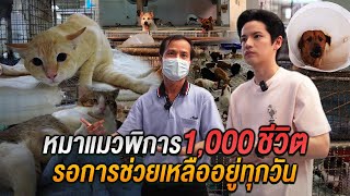 บริจาคอาหารหมาแมวพิการกว่า 1,000 ชีวิต ที่รอคอยการช่วยเหลือทุกวัน | ติดเต๋า