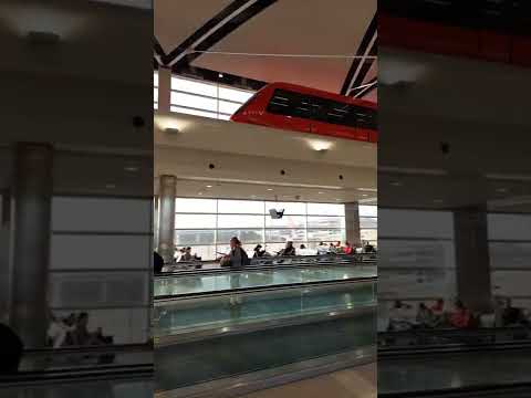 Portões de embarque no📍Detroit Metropolitan Wayne County International Airport DTW | Michigan, EUA