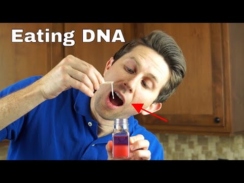 Is it Dangerous To Eat Pure DNA? Extracting and Eating Pure DNA Video