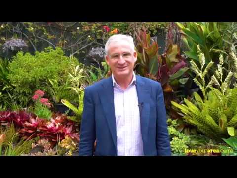 2/19 Ngapuhi Road, Remuera