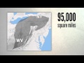 Marcellus shale: How big is the Marcellus shale formation?