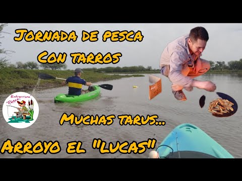 Pesca de tarariras con tarros.. asado, charla y un hermoso día.. Arroyo el "lucas"