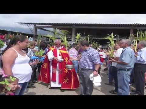 Zapatoca.net - Zapatoca.net -