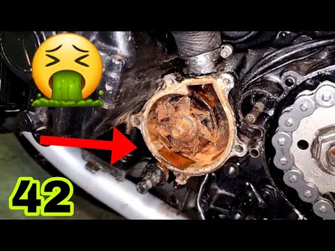 42 😱EL DESASTRE!! Intento reparar BOMBA de AGUA, la Destrozo Y YA NO HAY🤬😡😱 kawasaki ZXR 750 H1