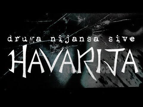 HAVARIJA - Druga Nijansa Sive (OFFICIAL VISUALIZER)