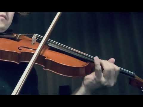 ヴァイオリン生演奏を録音・提供します 生演奏ならではのリアルなストリングス音色をご希望の方へ イメージ4
