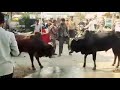 A Funny Full Drunk Man