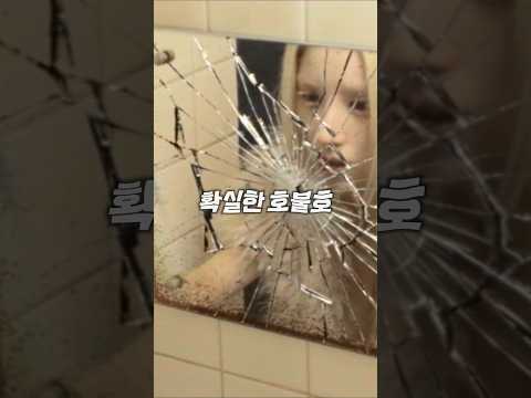 뮤비... 이런 취향입니까?