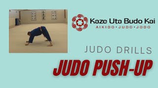 Judo Push-Ups