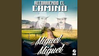 Azucena De Guamúchil