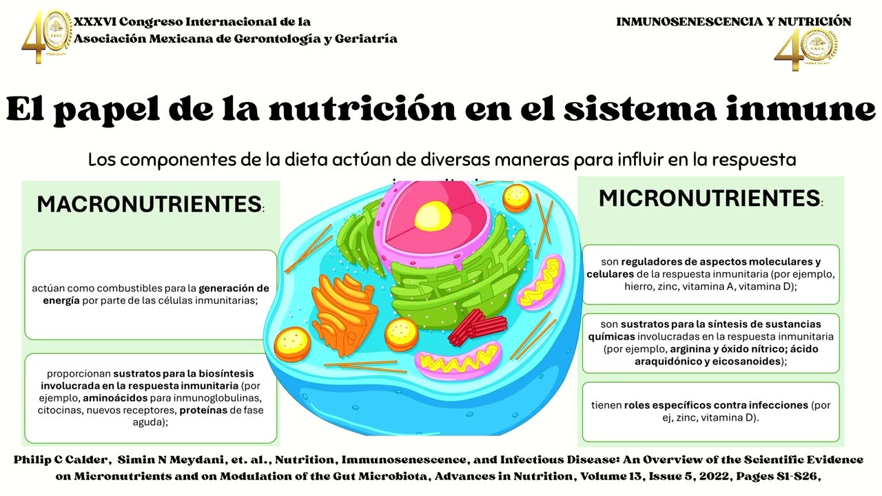 Inmunosenescencia y nutrición