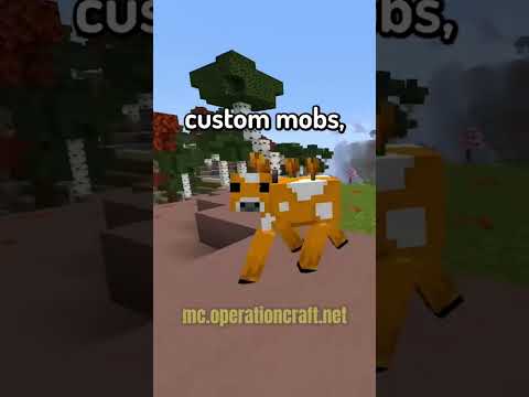Operation: Craft - Minecraft Survival Server IP