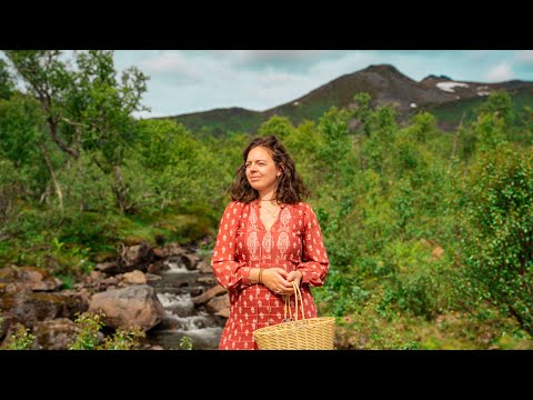 A Dream Begins ❤️ | Life in the Arctic Summer of Northern Norway #51