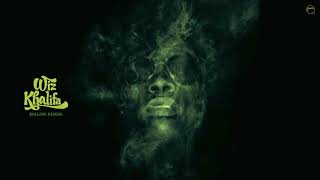 Wiz Khalifa - The Race (Audio)
