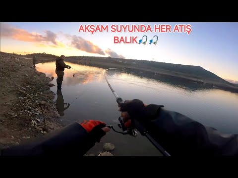 At Çek Balık Avı-Lrf ile Kasna avı-Alabalık Avı