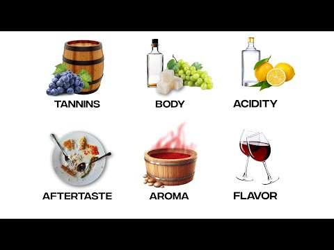 Every Wine Term Explained in 9 Minutes