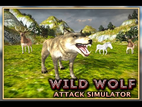 Wild Wolf Attack Simulator 3D Video