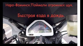 Наро-фоминск красная пресня рыбалка наро-фоминске