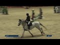 Super ponette de sport Connemara