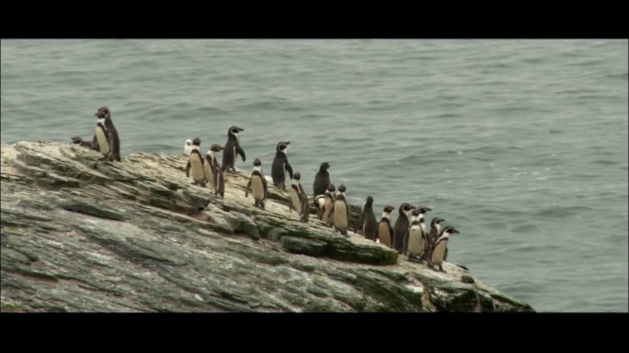 Reserva Nacional Pingüino de Humboldt, Región de Atacama