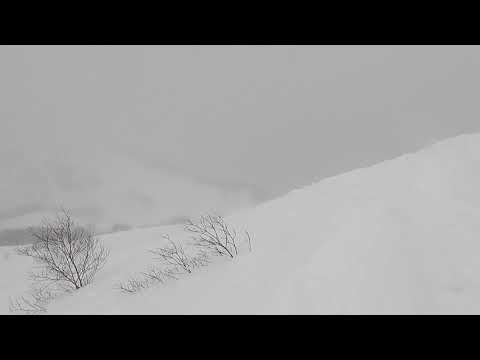 2022/2/2 苗場スキー場、山頂1,789mの上級限定ツリーエリアを滑ってみました。パウダーたっぷり！