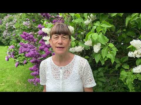 Sommartips - slumra i slottsträdgård