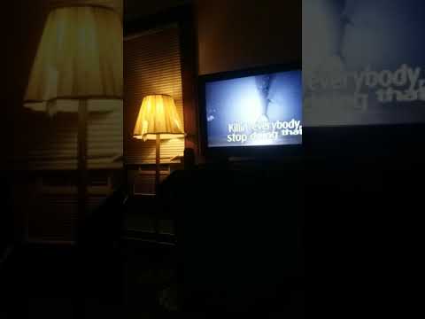 That Cat  That's walking his name's is carton cat and you don't want to you touch him