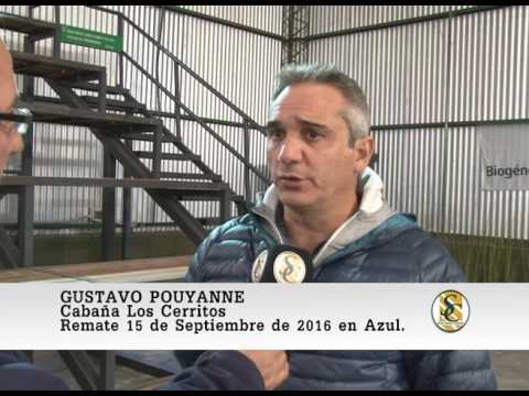 NOTA GUSTAVO POUYANNE - CABAÑA LOS CERRITOS - EL 15 DE SEPTIEMBRE EN AZUL.