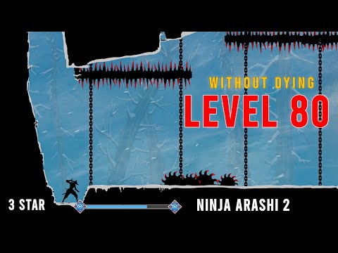 Ninja Arashi 2 Level 80