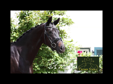 Farbenspiel x Florestan I