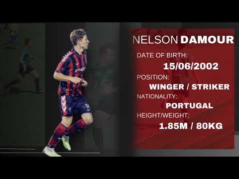 Nelson Damour | Highlights 2025/2026