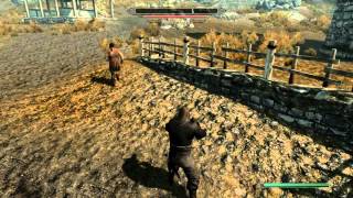 Skyrim Martial Arts Mod