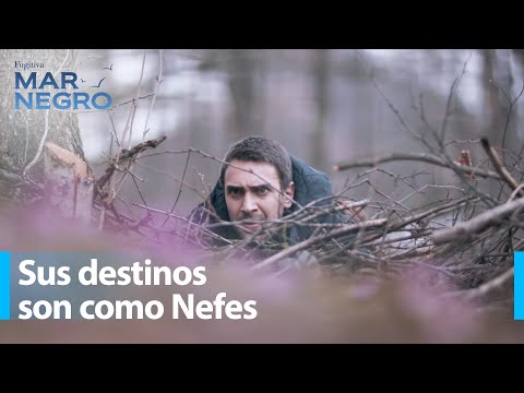 Tahir se encuentra con un caso inesperado en el bosque - Mar Negro Capítulo 133 | Fugitiva
