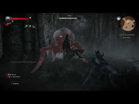 Witcher 3 Playthrough (Part 358)