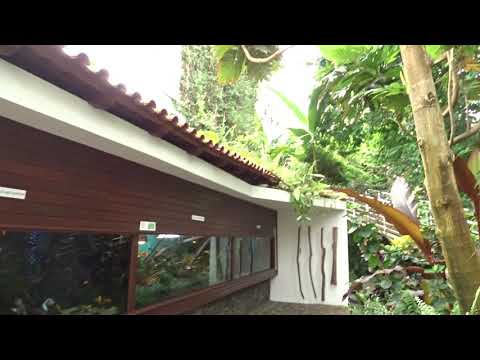 Botanická zahrada Teplice tropický skleník