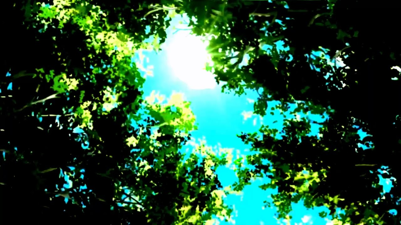 Color Adjust