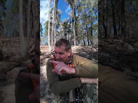 Goat Hunting Techniques #3 | E-Scouting for Goats | Mark Van Den Boogaart