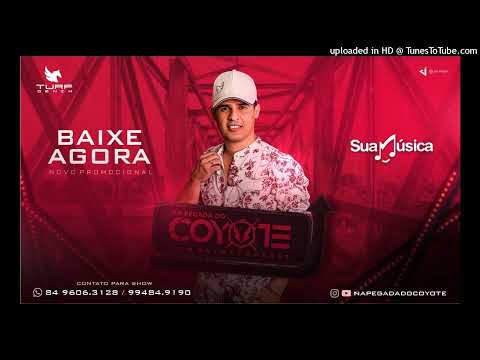 NA PEGADA DO COYOTE - METADE DE UM ABRAÇO