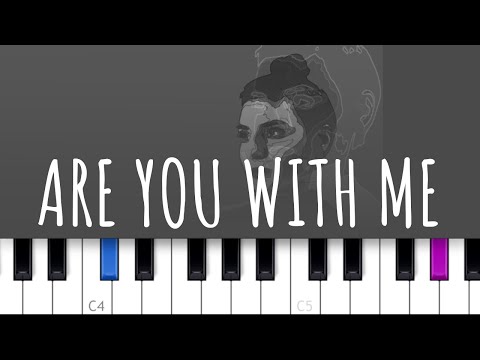 Are You With Me - Nilu